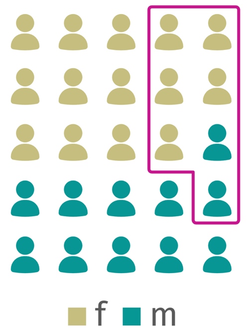 Intersectionality of Gender and Social Class